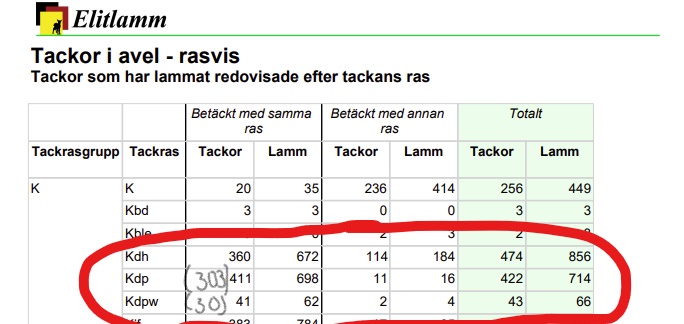 Årsstatistik från Elitlamm