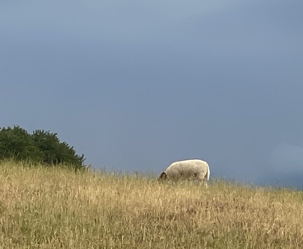 I dessa tider..